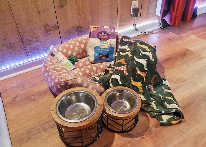 1920s | Hot Tub | Game | Fire Pit * Rockford
